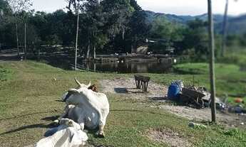 Imagem 4: Sitio em Imaruí-SC