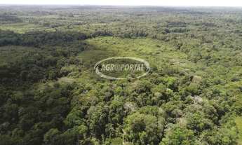 Imagem 3: Fazenda no Pará - Igarapé Miri - 294 ha (60 alq