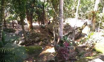 Imagem 4: Oportunidade em Sampaio Correia - sitio no Mato Grosso