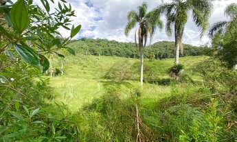Imagem 2: Terreno para sítio em Vila Doze - Antonio Carlos