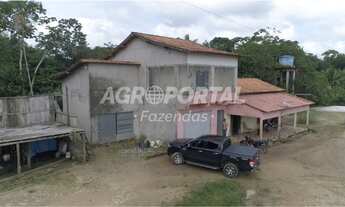 Imagem 3: Fazenda no Pará - Aurora do Pará - PA