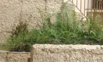 Imagem 2: Sobrado com 3 dorms, Vila Progredior, São Paulo - R$ 1.3 mi, Cod: 2375