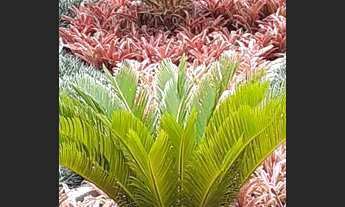 Imagem 5: Apartamento para aluguel possui 47 metros quadrados com 2 quartos