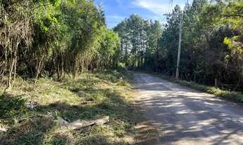 Imagem 5: Sítio Com Entrada De 4.900 E Parcelas De 650. ROB:329