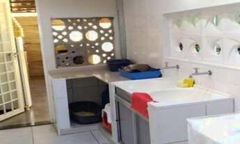 Imagem 4: SÃO JOSÉ DO RIO PRETO - Casa Padrão - JARDIM NAZARETH