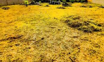 Imagem 5: Terreno de chácara murado