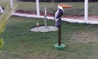 Imagem 6: Santo Antônio do Aracanguá - Fazenda/Sítio - Zona Rural