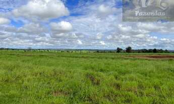 Imagem 12: ML FAZENDAS - FAZ 151 Fazenda em Cassilândia / MS 6.692,43 Hect