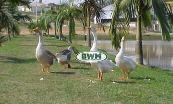 Imagem 3: Casa com 3 dormitórios à venda, 450 m² por R$ 1.400.000,00 - Condomínio Ibiti do Paço - So