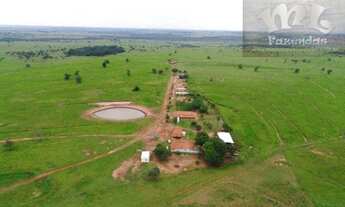 Imagem 5: ML FAZENDAS - FAZ 151 Fazenda em Cassilândia / MS 6.692,43 Hect