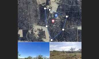 Imagem: Terreno para roça a 9km de rajada