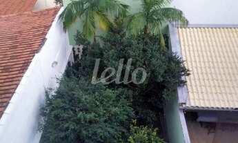 Imagem 5: São Paulo - Casa Padrão - Sacomã