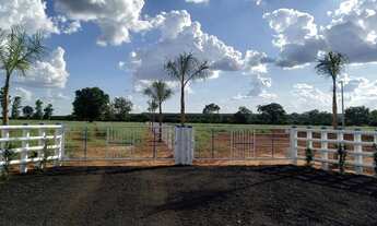 Imagem 3: Chácaras de 20 Mil metros