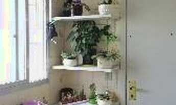 Imagem 4: São Paulo - Apartamento Padrão - Santana