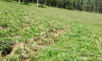 Imagem 6: Venda-se propriedade de 12 ( dezesse Alqueires) no Município de Alfredo Chaves/ES