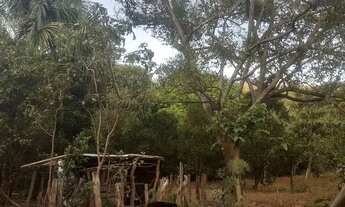 Imagem 6: Vende-se terra Chácara com venda por R$600.000