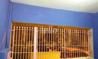 Imagem 2: São Paulo - Casa Padrão - Mooca