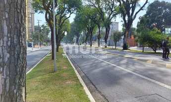 Imagem 5: SAO PAULO - Loja/Salão - VILA MONUMENTO