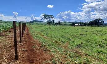Imagem 7: Chácaras de 1500 mt em Caturai 35 km de Goiânia !