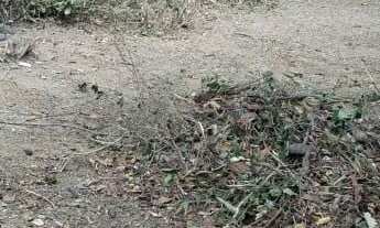 Imagem 5: Vendo lote Nova Guarapari /Cond. Pontal de Santa arinda