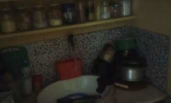 Imagem 4: Alugo para O Réveillon