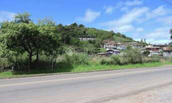 Imagem 2: Terreno no bairro Centenário