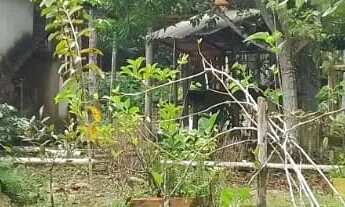 Imagem 2: Fazenda/Sítio/Chácara para venda possui 8799 metros quadrados em Lago Azul - Manaus - AM