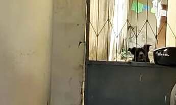 Imagem 3: Setor Criméia Oeste - Goiânia - GO