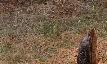 Imagem 5: Vendo Lote 360 metros excelente localização