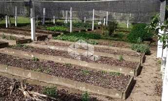 Imagem 4: Sítio à venda em Viamão/RS