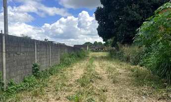 Imagem 5: VENDE-SE OU ALUGA-SE ÁREA NA BR-104 (Sentido Maceió