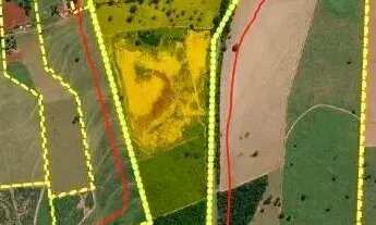 Imagem 3: 50% do Imóvel com 85,24 Hectares, Estância Santa Ana, Buritama/SP