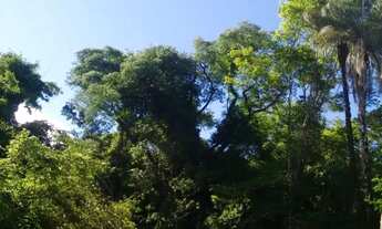 Imagem 5: Sítio 16 hectares , apenas 10 km de Montes Claros (saída Pirapora