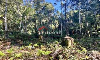 Imagem 4: Lote em Avenida Chimango - Colinas - São Francisco de Paula/RS