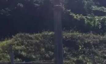 Imagem 3: Terreno á venda em Caxias do Sul, bairro Charqueadas