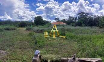 Imagem 7: Fazenda à venda - Zona Rural - Poconé - MT