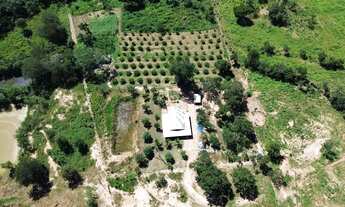 Imagem 2: Rancho/ Sítio/ Chácara