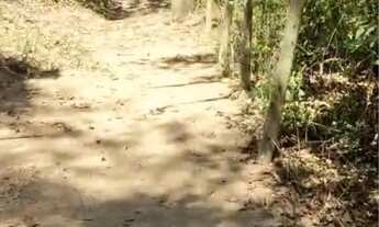 Imagem 7: Vendo terreno no Paranoá