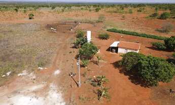 Imagem 2: Vendo 288, hectares de terras próprias para plantio de cana em Paracatu MG