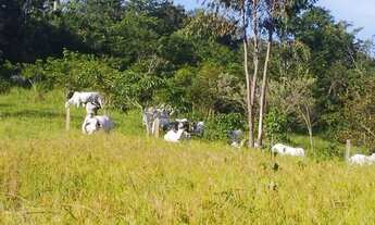 Imagem 6: Chácara próximo a Bonfinópolis