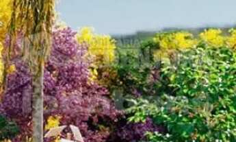 Imagem 7: Terreno em Condomínio - Le Vert Residence