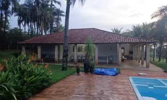 Imagem 4: CHÁCARA A VENDA