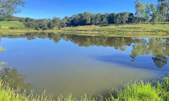 Imagem 6: Chácara de 8,5 alqueires rica em água com casa e curral top