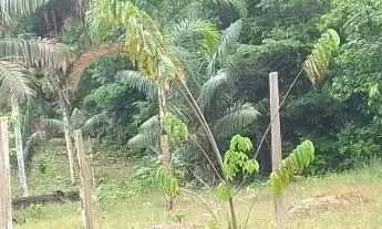 Imagem 3: Fazenda/Sítio/Chácara para venda possui 8799 metros quadrados em Lago Azul - Manaus - AM