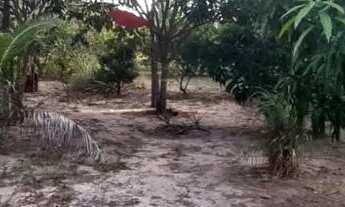 Imagem 2: VENDE-SE UMA CASA EM CURUÇÁ COM 4 SUÍTES