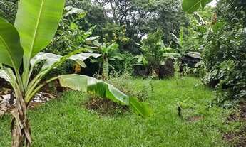 Imagem 5: Venda de Casas / Chácara na cidade de Araraquara
