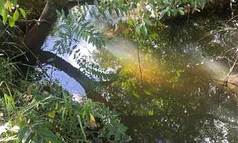 Imagem: Fazenda campina verde