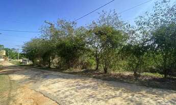 Imagem 2: Lotes a partir de 546m² com RGI, em Barreira