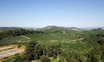 Imagem 5: Fazenda de café produtiva de 166,66 alqueres (399,984 hectares) no Município de