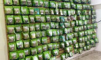 Imagem 5: Loja de produtos naturais